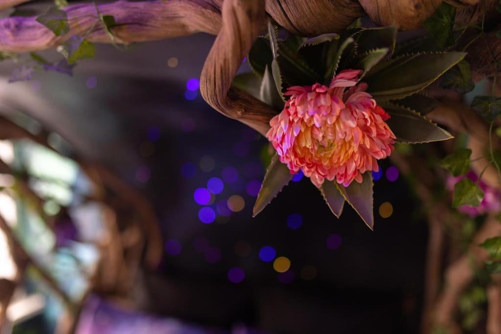 Appartamento Avataar - L'Arbre De Pandoraa Belfort Esterno foto