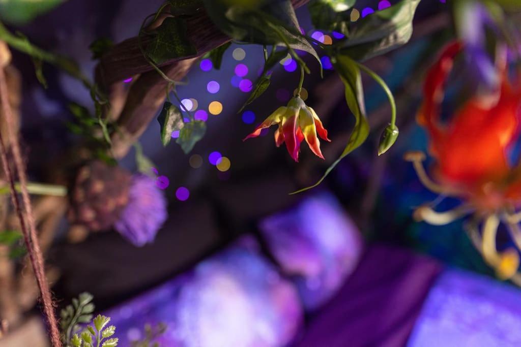 Appartamento Avataar - L'Arbre De Pandoraa Belfort Esterno foto